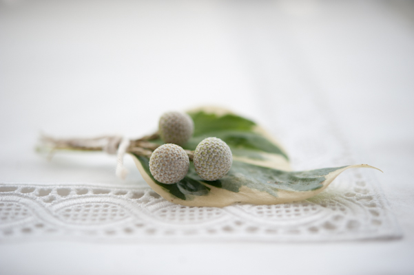 Boutonniere by AMBphoto . photography by Anne-Marie Bouchard Boutonniere by AMBphoto . photography by Anne-Marie Bouchard