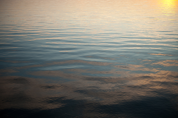 Lindsay and Farouk's Britannia Yacht Club Wedding with Live Love Plan