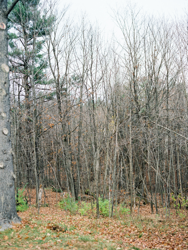 MacKenzie King Estate Engagement Session