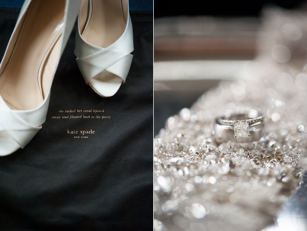 Museum of Nature and Chateau Laurier Ottawa wedding by AMBphoto