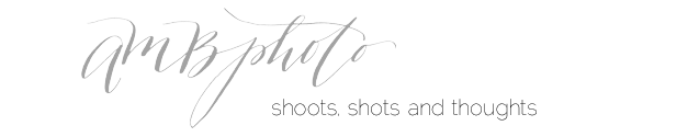 AMBphoto Shoots, Shots and Thoughts blog logo, Ottawa Wedding Photographer